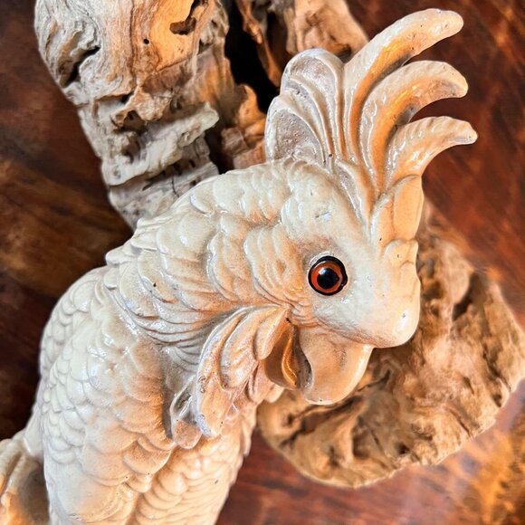 1940’s Chalkware Cockatoo - Picture 5 of 13